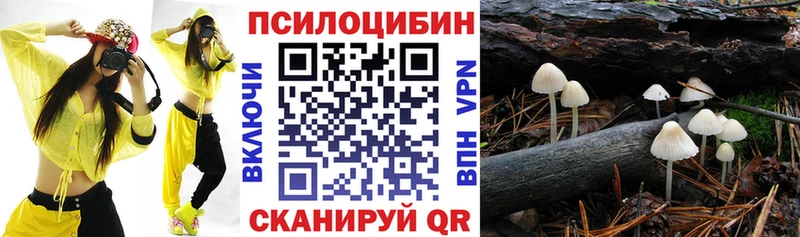Галлюциногенные грибы Psilocybine cubensis  Шуя 