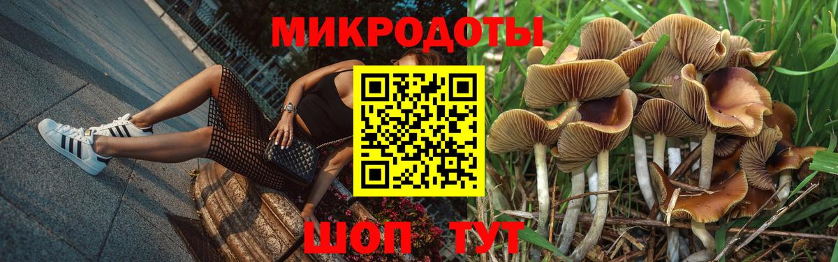 Галлюциногенные грибы MAGIC MUSHROOMS  Вход с VPN  Псилоцибиновые грибы GOLDEN TEACHER  Шуя 